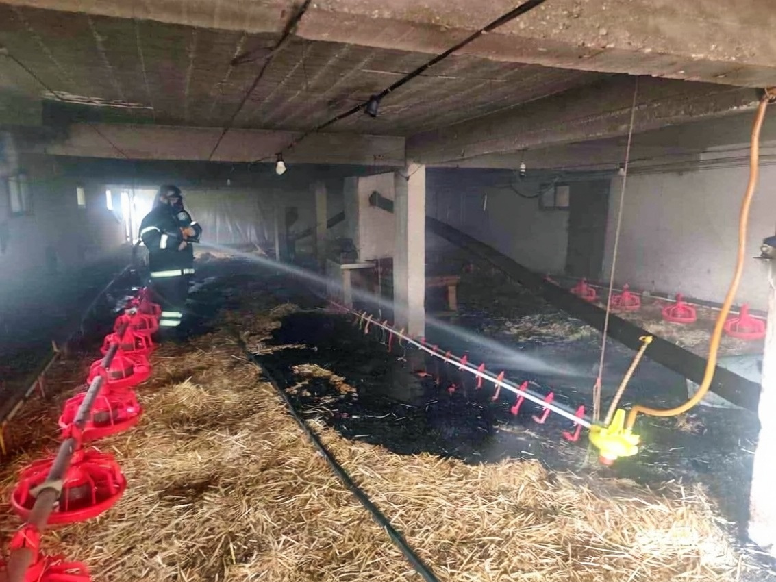 Mudurnu'da 10 bin kapasiteli kümeste çıkan yangın söndürüldü