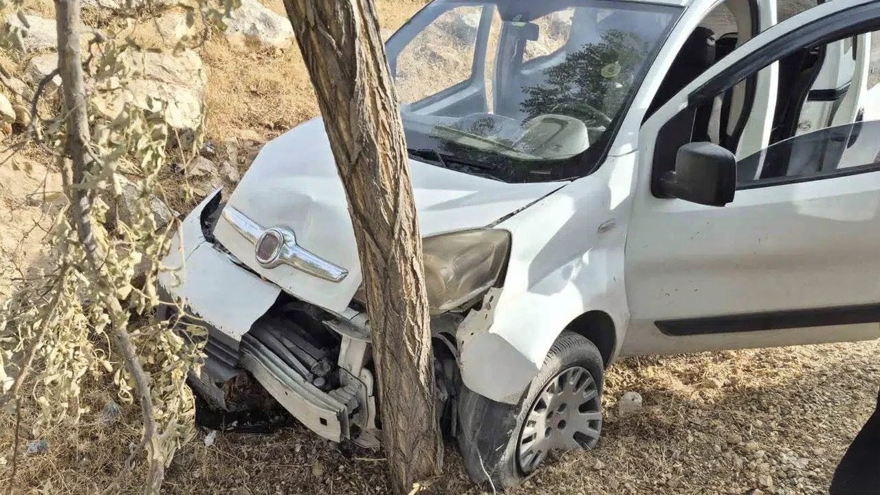 Gaziantep'te hafif ticari aracın ağaca çarpması sonucu 2 kişi yaralandı