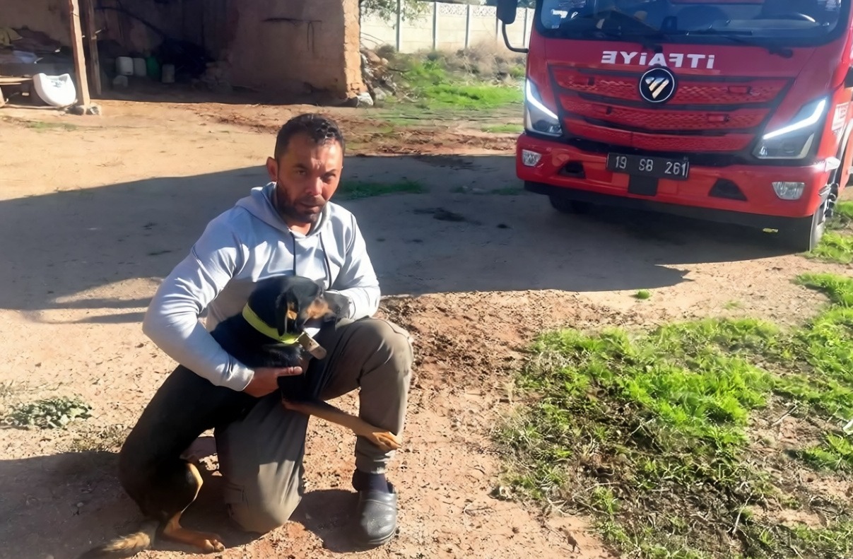 Sungurlu'da su kuyusuna düşen köpek itfaiye yardımıyla kurtarıldı