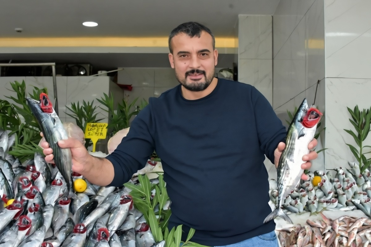 Karadeniz'deki palamut bolluğunun bir ay daha sürmesi bekleniyor