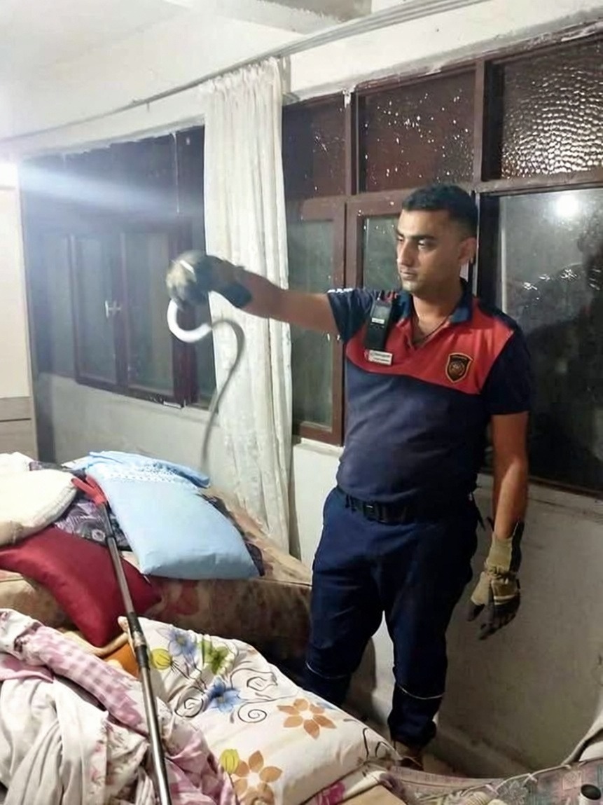 Hatay'da yerleşim yerlerinde görülen yılanlar doğaya bırakıldı