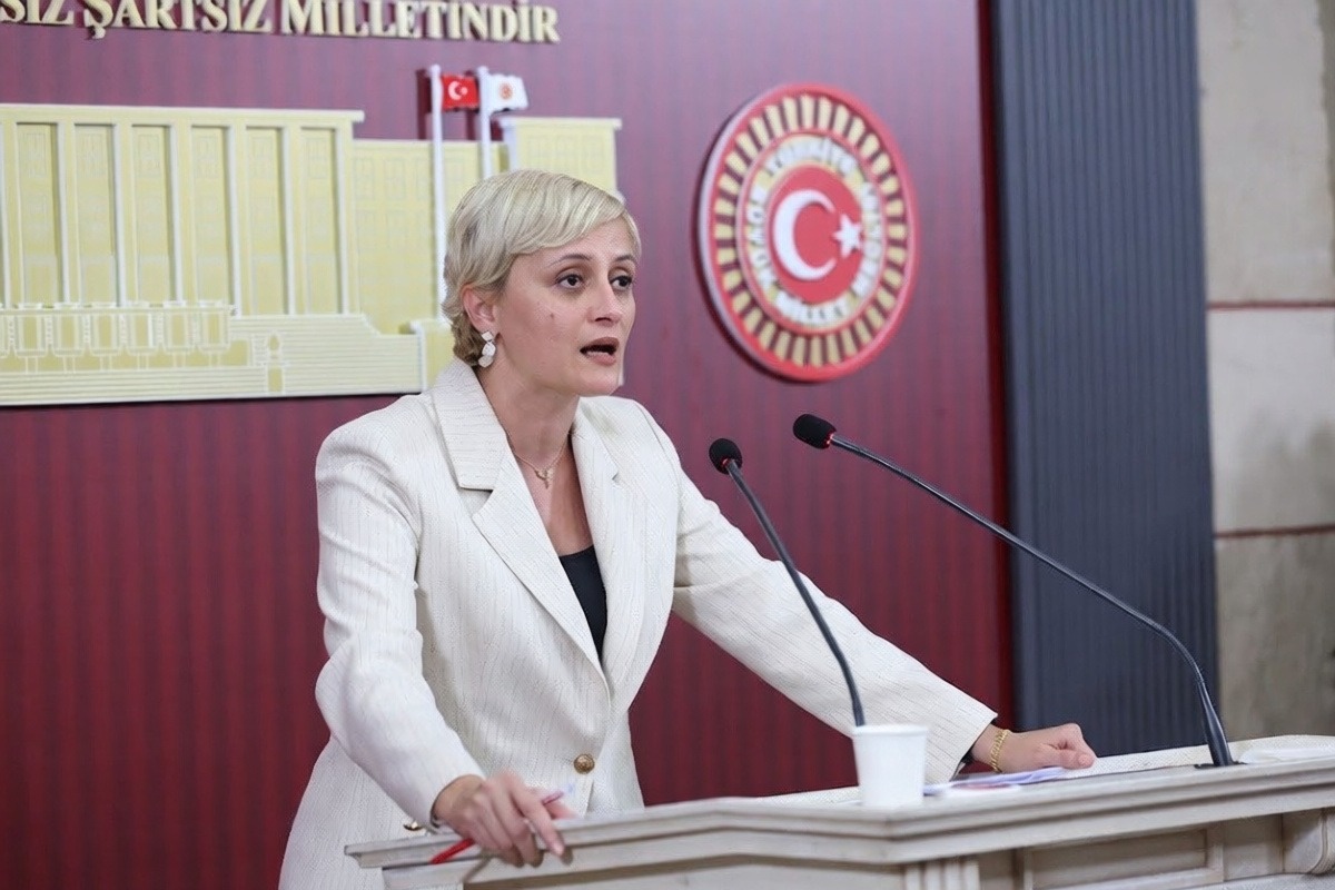 DEM Partili Koca, İskenderun Devlet Hastanesi'ndeki ölümler için soru önergesi verdi