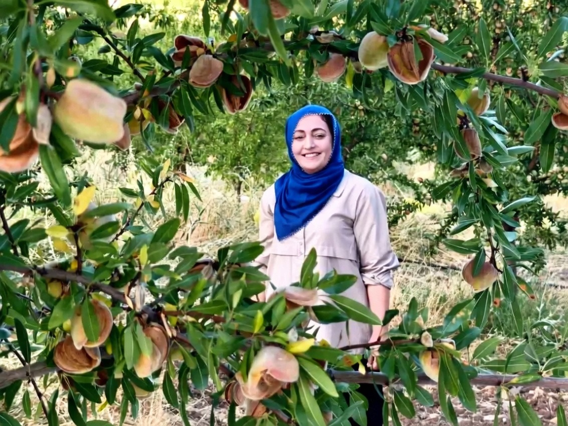 Tunceli'de atıl arazi devlet desteğiyle badem bahçesine dönüştürüldü
