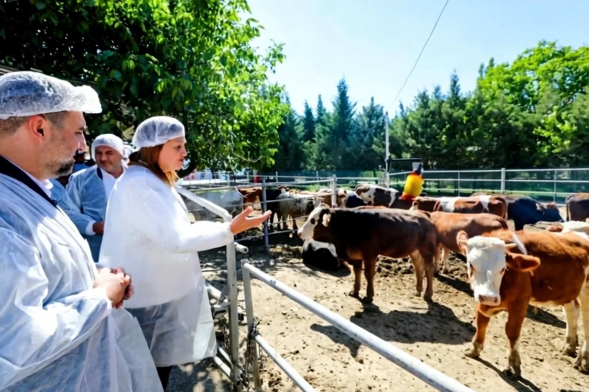 Afyonkarahisar Belediyesi YÜNTAŞ Besi Çiftliği'ni hizmete açtı