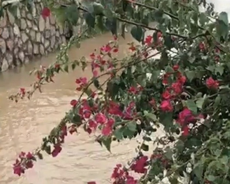 Datça'da sağanak yağış yolları su altında bıraktı