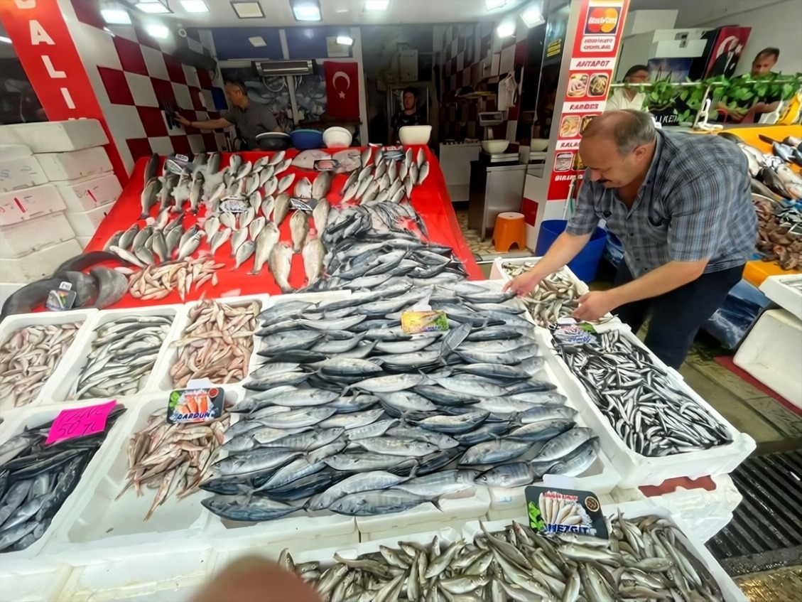 Karadeniz'de av yasağının kalkmasıyla palamut bolluğu başladı