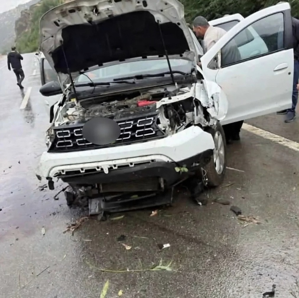 Bingöl'de kontrolden çıkan otomobil tabela ve ağaca çarptı: 2 yaralı