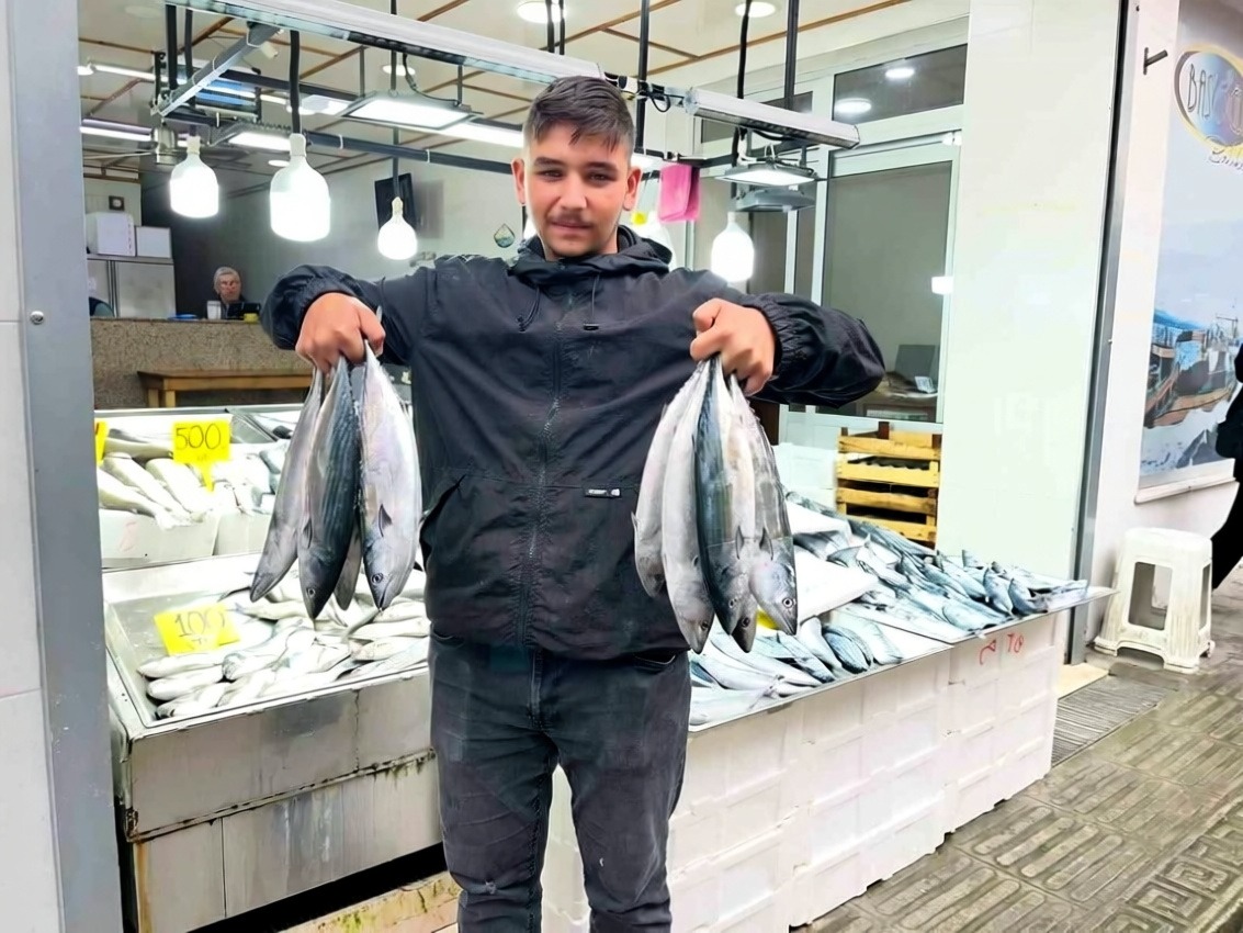 Sinop'ta palamut bolluğu fiyatları 50 liraya kadar düşürdü