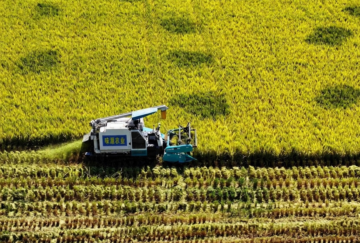 Çin tarımsal mekanizasyon oranını 2030'da yüzde 80'in üzerine çıkarmayı hedefliyor