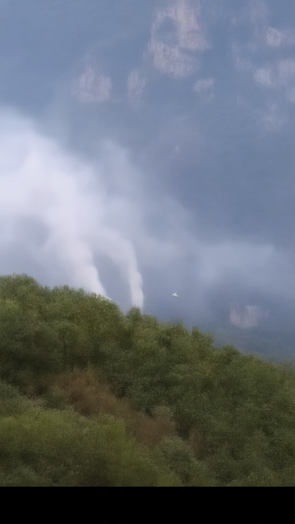 Hatay'ın Dörtyol ilçesinde çıkan orman yangını kontrol altına alındı