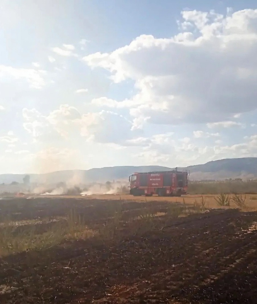 Denizli'nin Çivril ilçesinde tarım arazisinde çıkan yangın kontrol altına alındı
