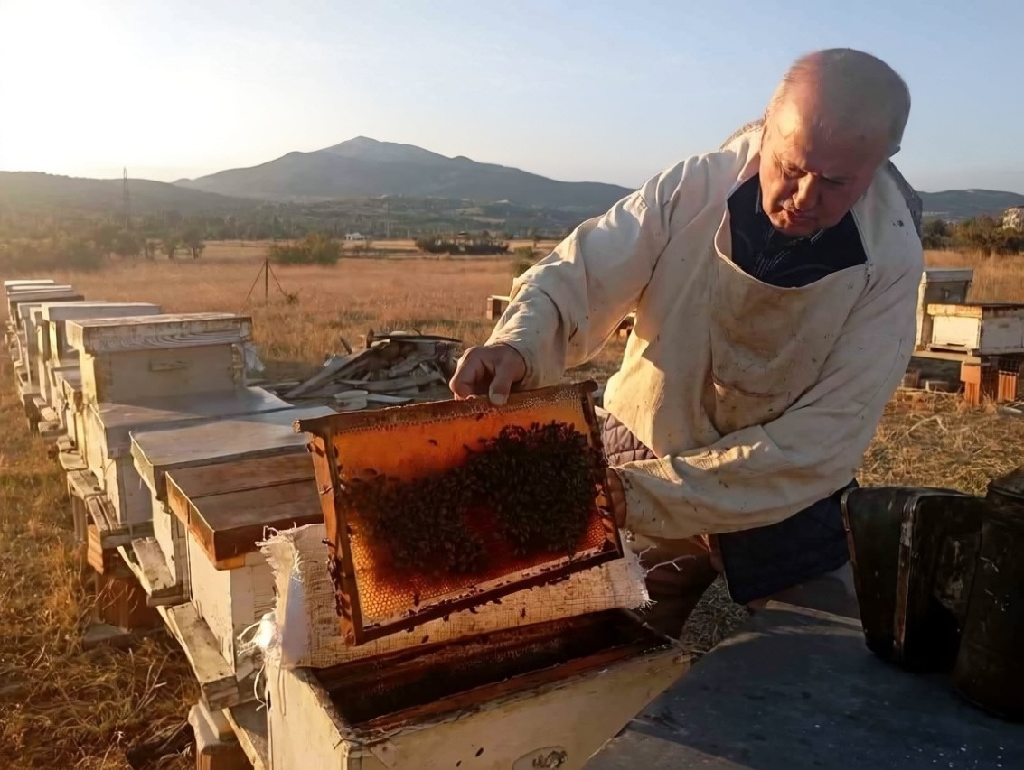 Gediz yaylalarında arıcılık sezonu yüksek verimle tamamlandı