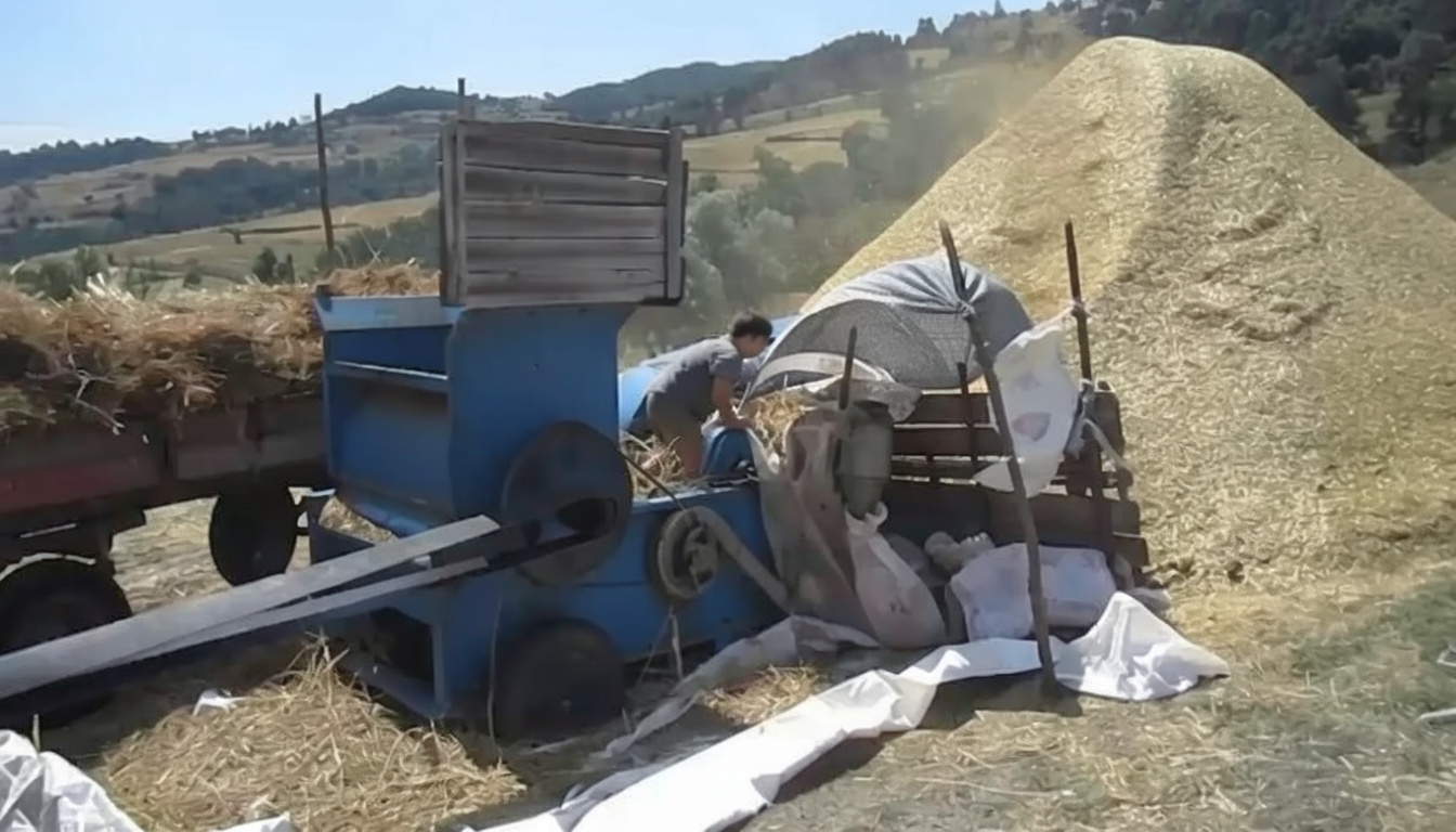 Kağızman'da saman savuran gencin kolu patoz makinesine sıkıştı
