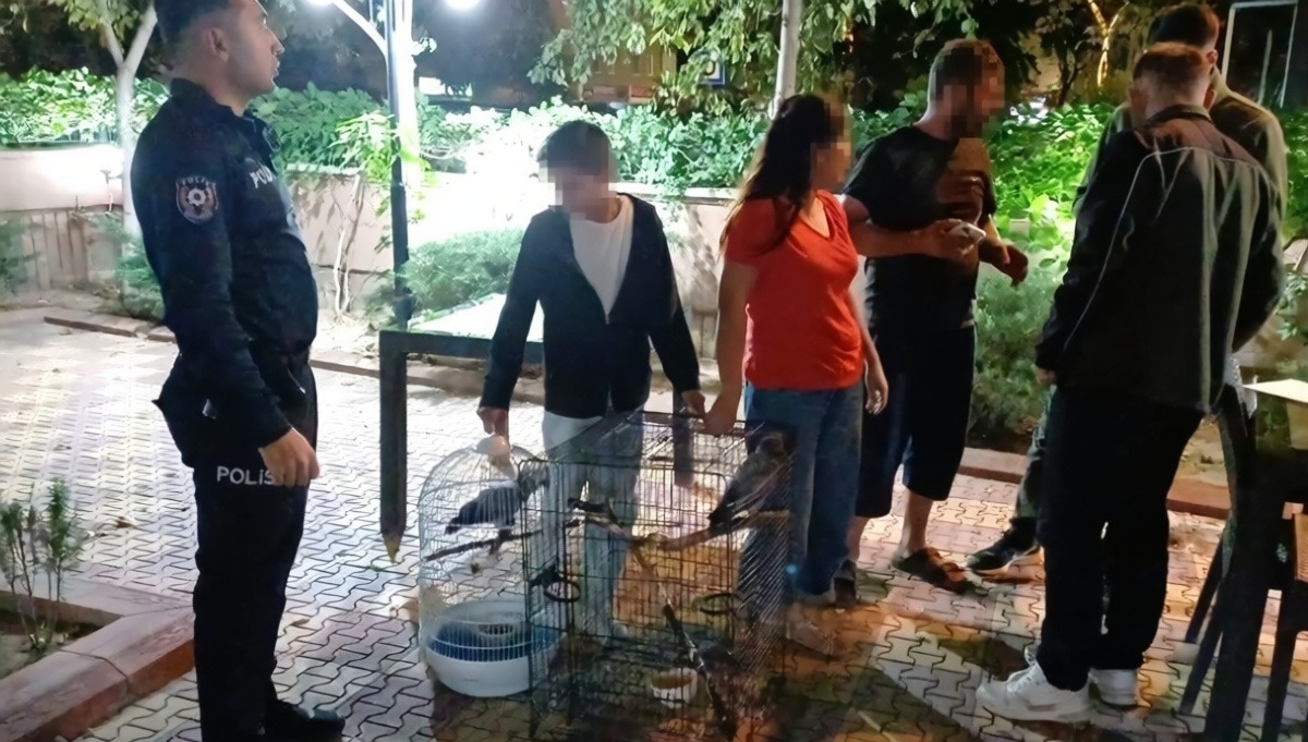 Aksaray'da yasa dışı papağan satışına düzenlenen operasyonda 30 bin lira ceza