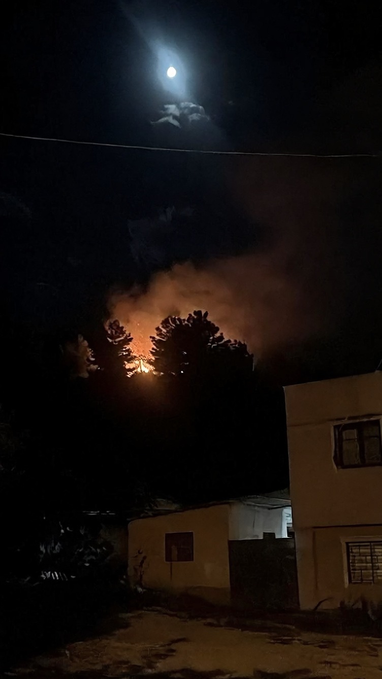 Hatay Arsuz'daki orman yangını ekiplerin müdahalesiyle söndürüldü