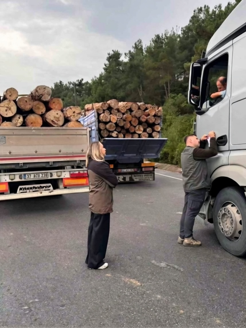 Gerze'de orman suçlarına karşı 7/24 mobil denetim başlatıldı
