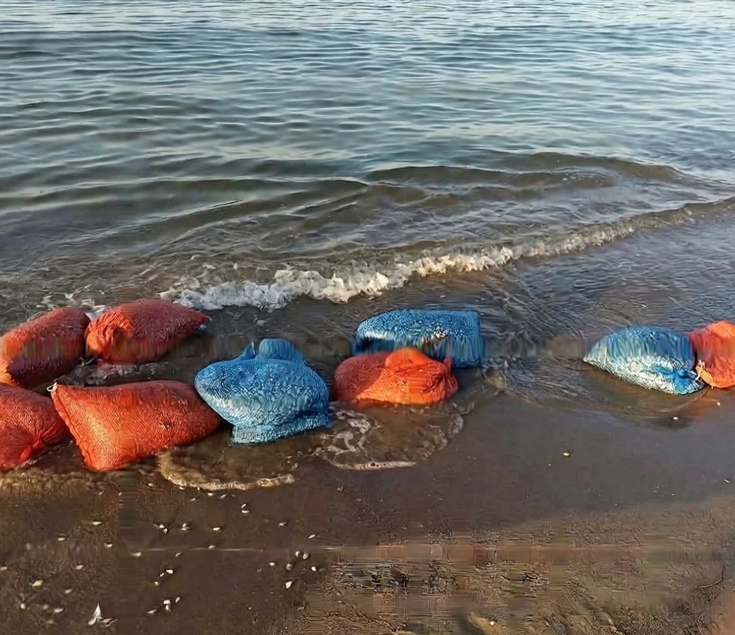 Mudanya sahillerinde kaçak kum şırlanı avcılığına yönelik operasyon yapıldı