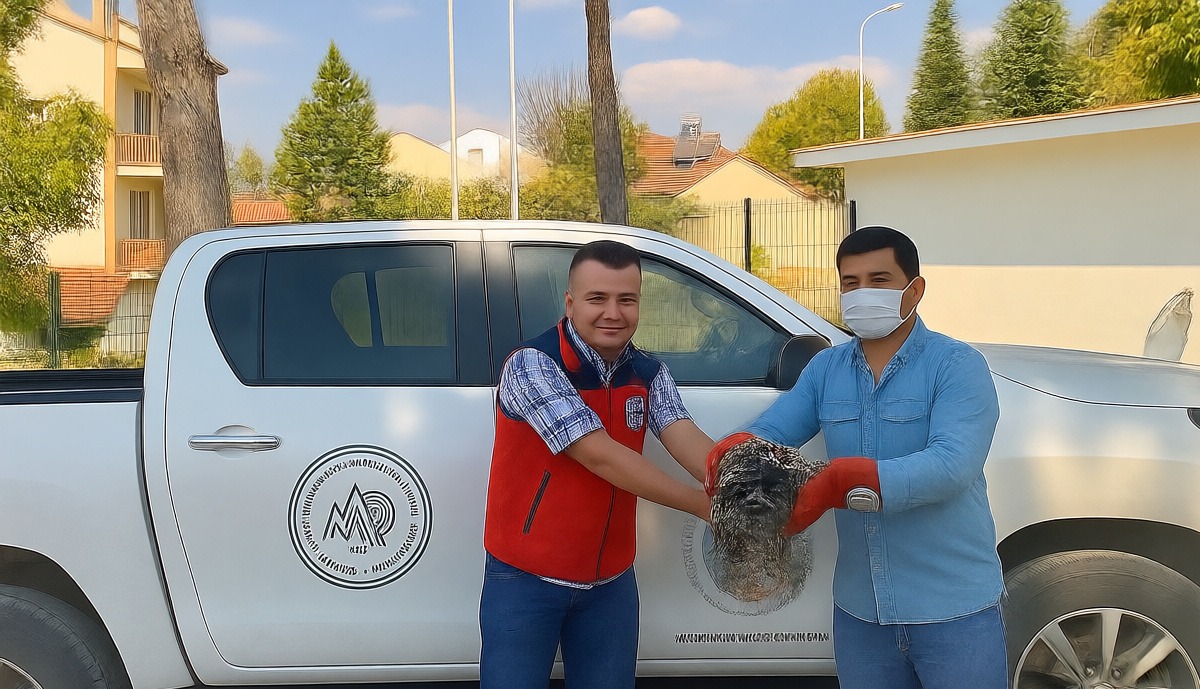 Sandıklı'da yaralı bulunan puhu kuşu tedavi için koruma altına alındı