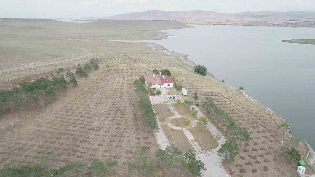 Kars'ta baraj ve gölet çevrelerini ağaçlandırmak için protokol imzalandı