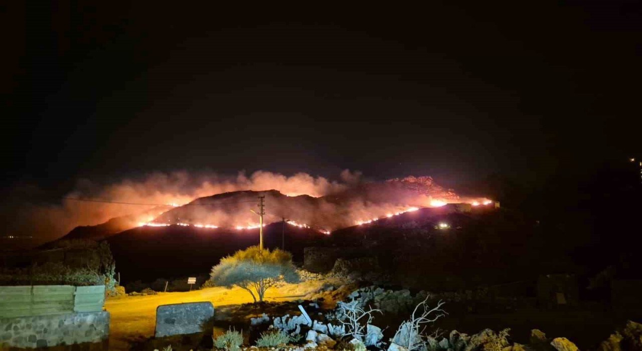 Bodrum'da makilik alanda çıkan yangın rüzgarla geniş bir alana yayıldı