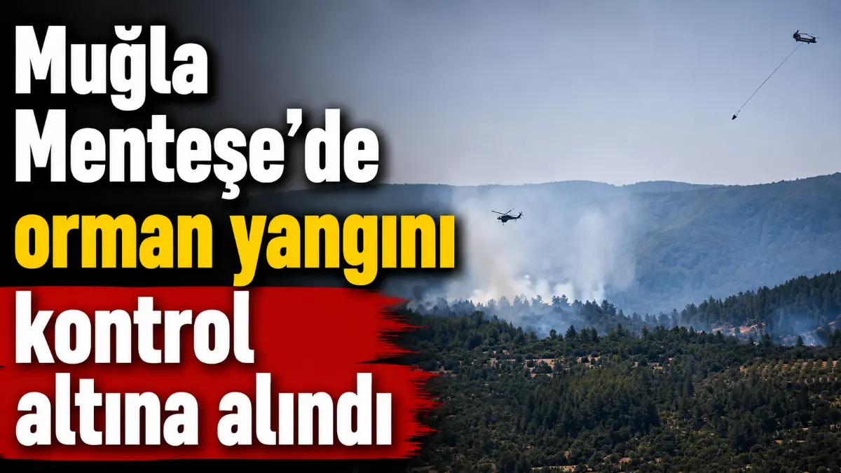 Muğla'da iki farklı bölgede çıkan orman yangınları kontrol altına alındı
