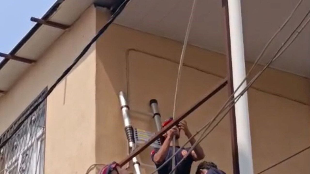 Adana'da bir evin tavanına sıkışan güvercin itfaiye ekiplerince kurtarıldı