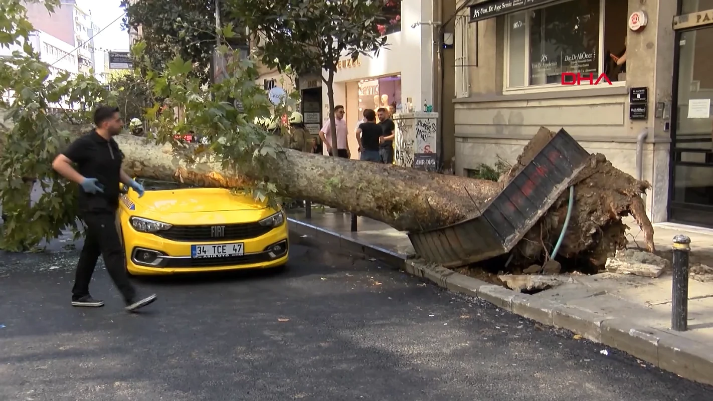 Şişli'de devrilen ağaç iki araca zarar vererek yolu trafiğe kapattı