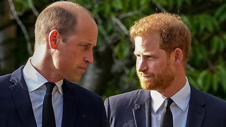 Kral Charles oğulları William ve Harry'nin barışmasını istiyor