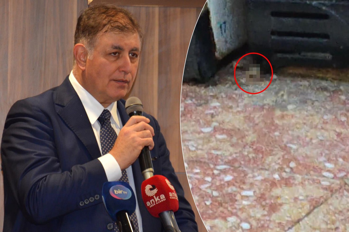 İzmir'de bir fırının imalathanesinde fare görüntülendi