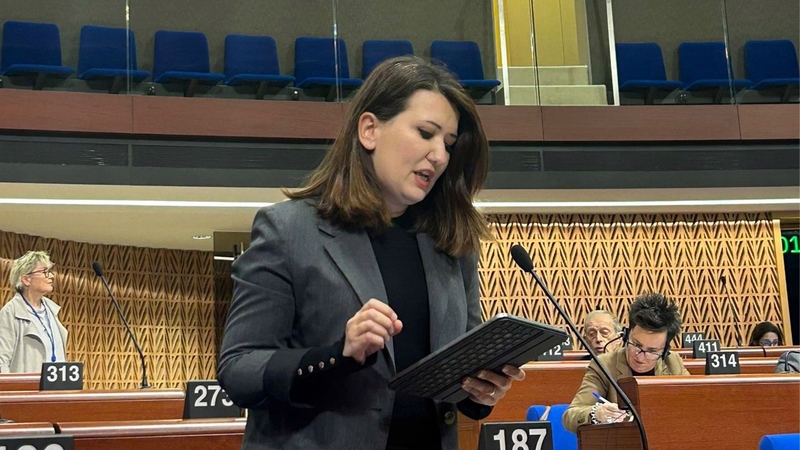 Gökçen AKPM Genel Kurulu'nda Türkiye'deki sosyal medya engellemelerini gündeme taşıdı