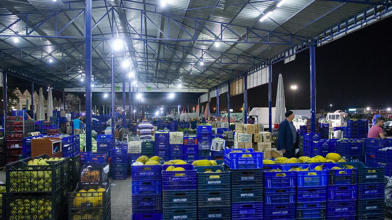 Türkiye'nin yaş meyve ihracatı 7 ayda 1 milyar doları geçti