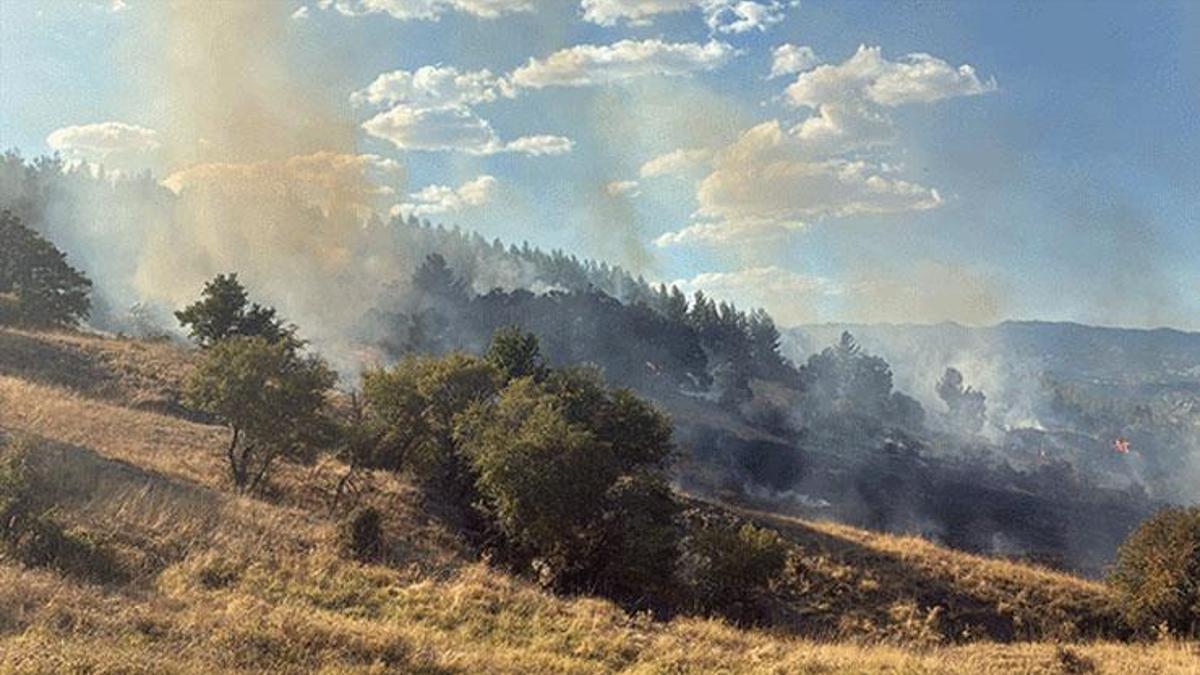 Burdur'un Gölhisar ilçesinde çıkan orman yangını kontrol altına alındı