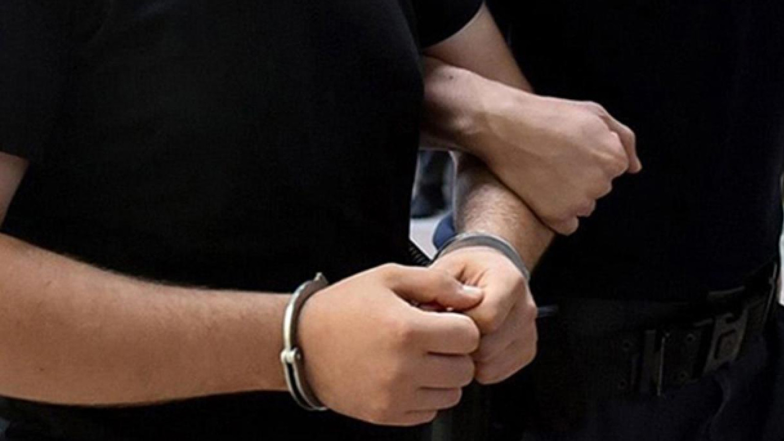 Türkiye ve Gürcistan ortak operasyonuyla aranan 22 kişi yakalandı