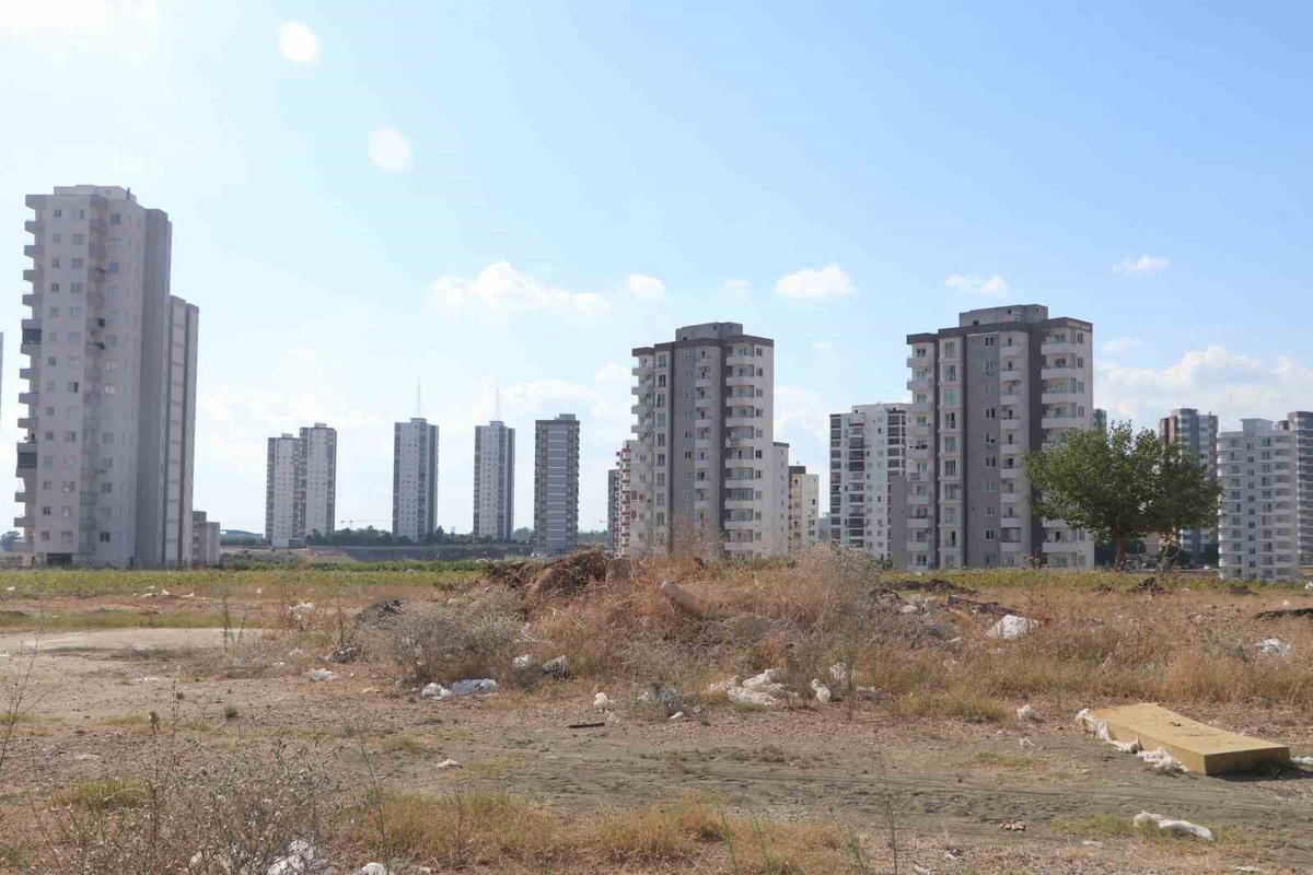 Adana'da artan cırcır böceği popülasyonu vatandaşları rahatsız ediyor