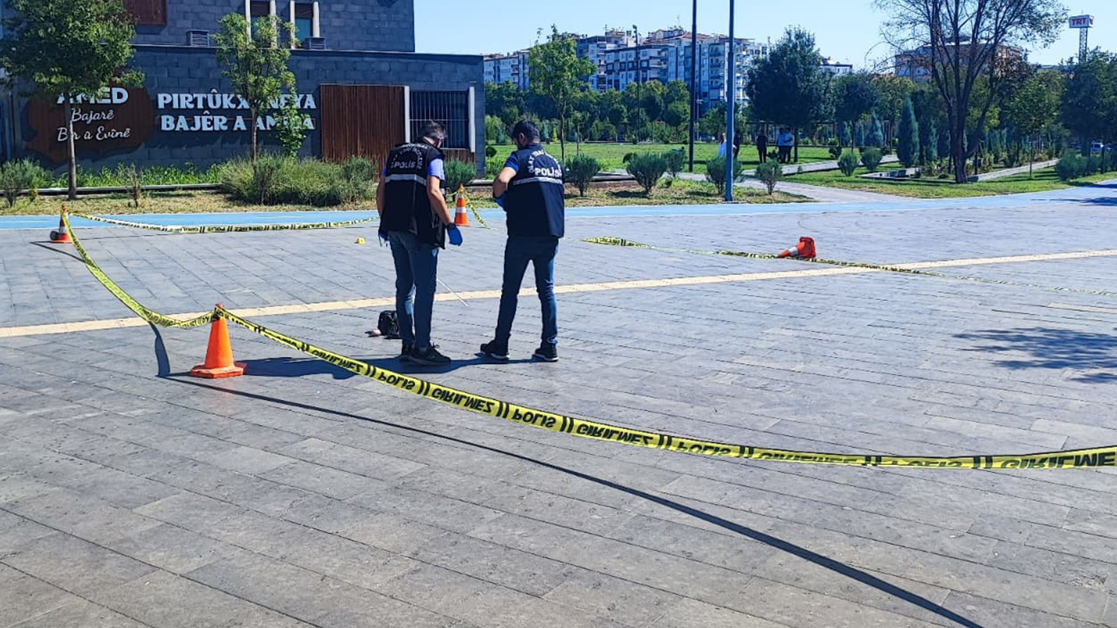 Diyarbakır'da eski eşini öldüren şahıs yakalanacağını anlayınca intihar etti
