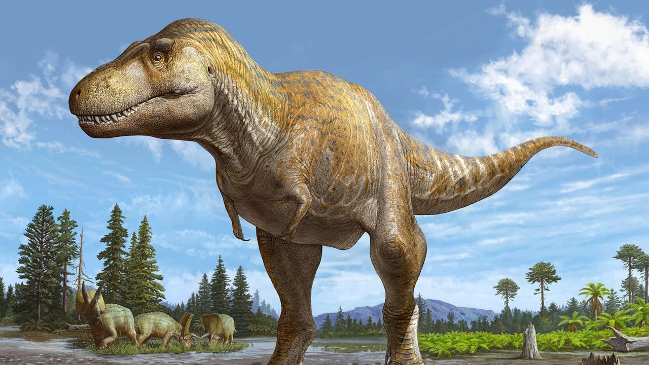 T-rex'in vücut ısısının ortalama 36 derece olduğu belirlendi