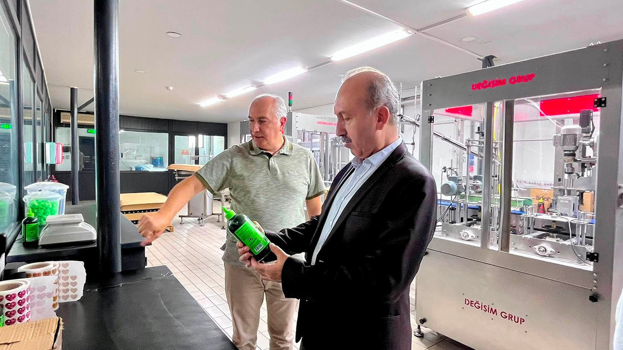 Balıkesir'de zeytin hasadı öncesi verimli bir sezon bekleniyor