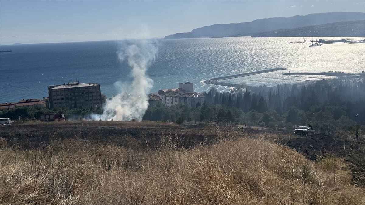 Tekirdağ'da otluk alandaki yangında bir kaplumbağa kurtarıldı