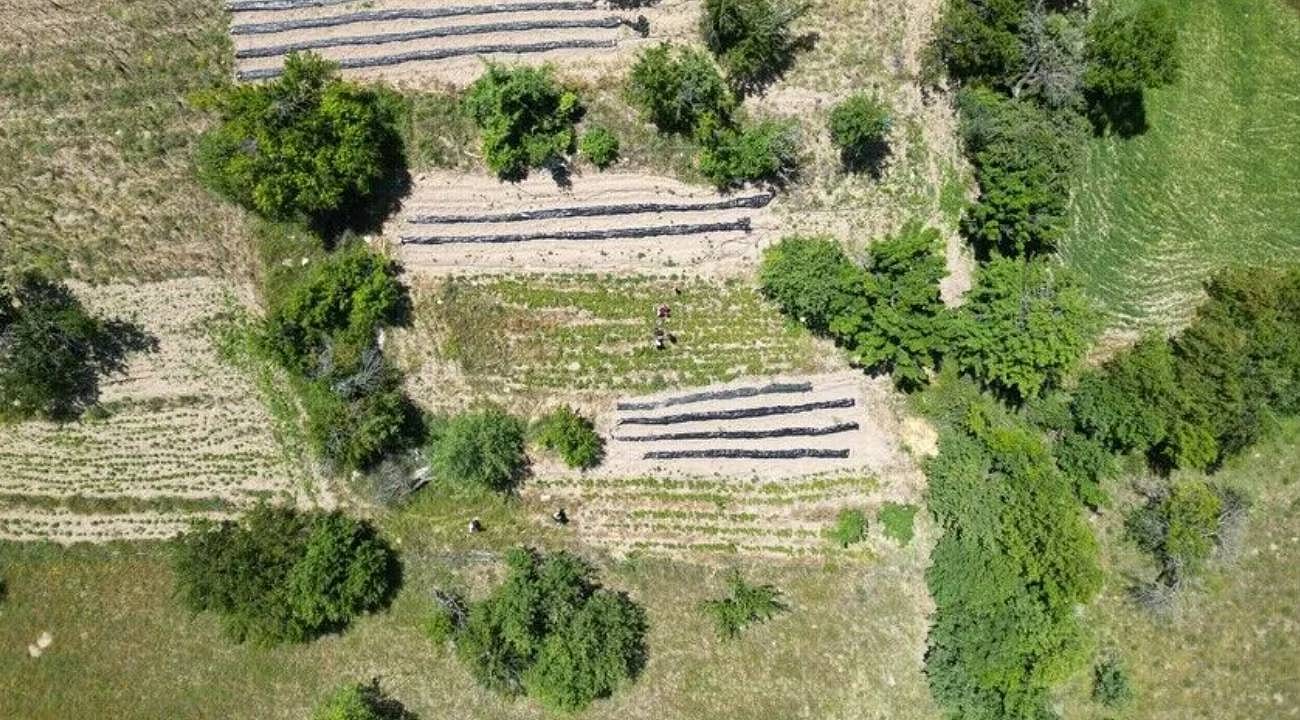 Orman Genel Müdürlüğü 2026 yılı için 3,3 milyar liralık destek planlıyor