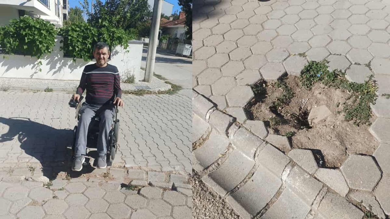 Eskişehir'de kesilen ağaç sonrası oluşan kaldırım boşluğu engellileri zorluyor