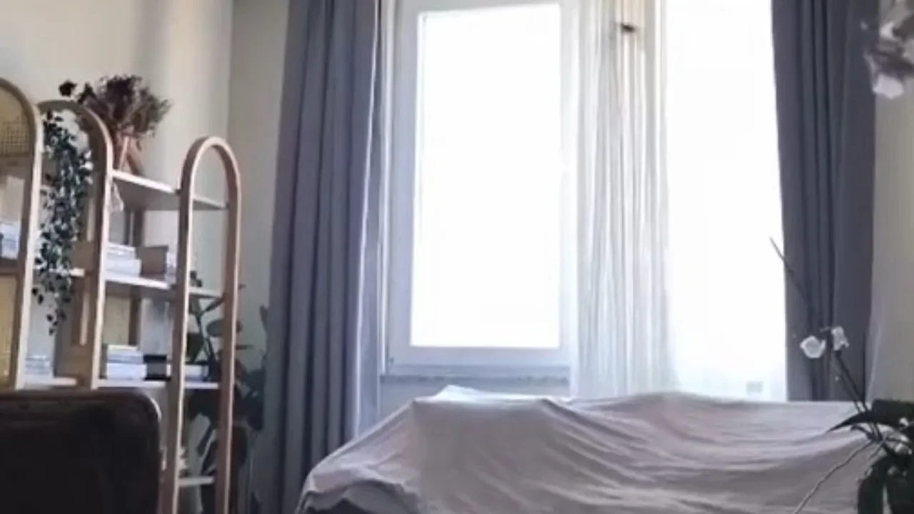 Tokat'ın Niksar ilçesinde bir eve giren 16 yarasa itfaiyece çıkarıldı