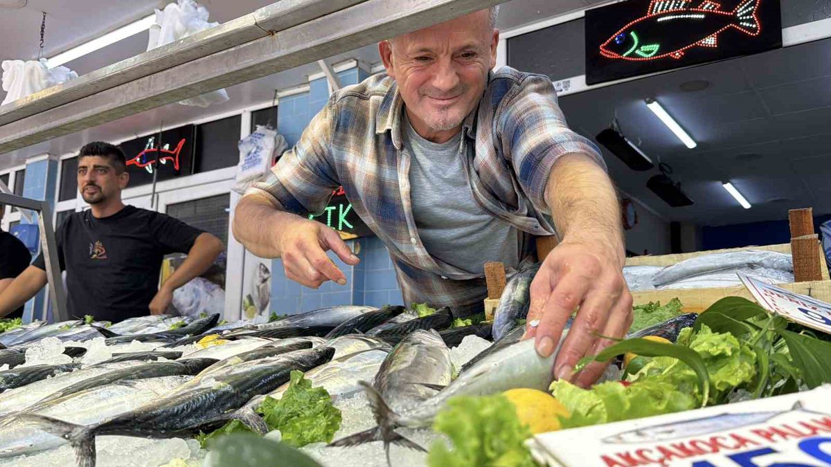 Bolu'da palamut bolluğu balıkçı tezgahlarında hareketlilik yarattı