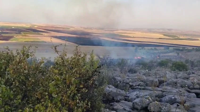 Adıyaman Besni'de anız yangını ormanlık alana sıçradı