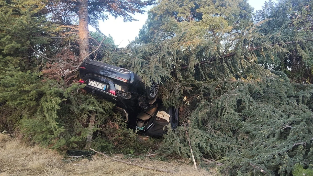 Elazığ'da otomobilin ağaca çarpıp ters dönmesi sonucu sürücü yaralandı