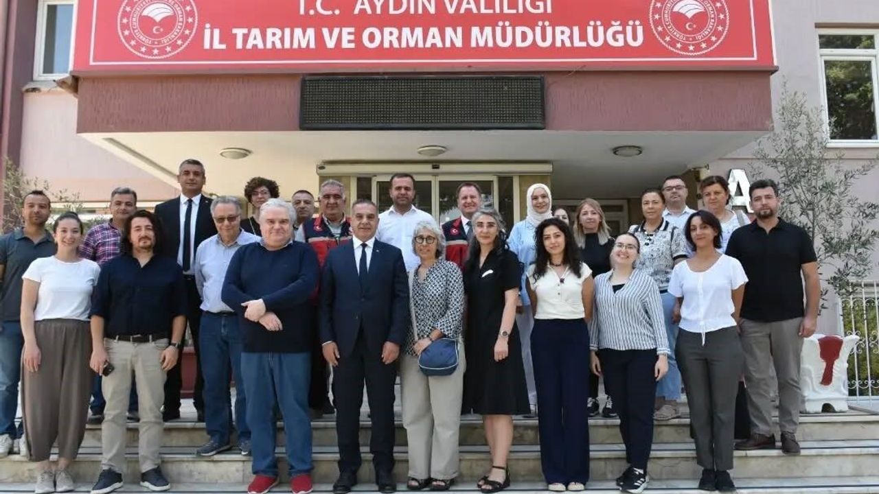 Avrupa Birliği heyeti Aydın incirindeki kontrol sistemlerini inceledi