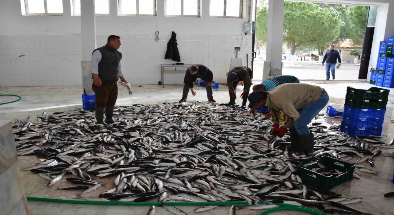 Muğla'nın Temmuz ayı ihracatı 142 milyon doları aştı