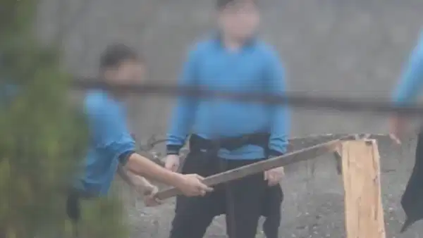 Samsun'da ortaokul öğrencilerine ağaç kestirildiği iddiasıyla soruşturma