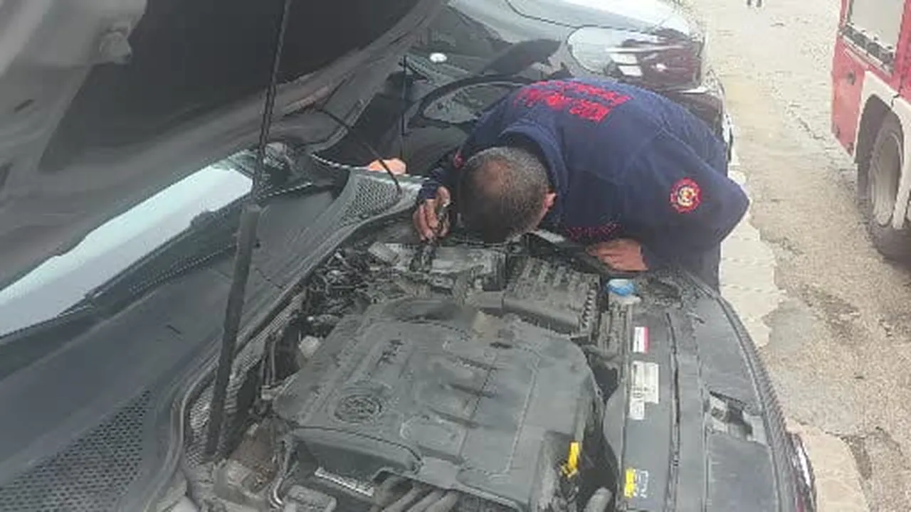 Karadeniz Ereğli'de otomobil motoruna giren yavru kedi kaçtı