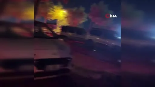 Bolu'da yola çıkan köpekler 5 aracın karıştığı zincirleme kazaya yol açtı