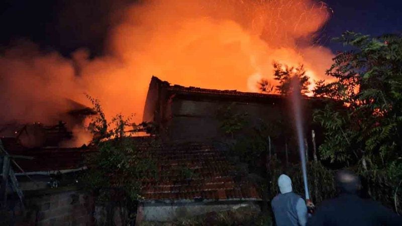 Burdur'da çıkan yangın 3 ev ile ahır ve samanlığa zarar verdi